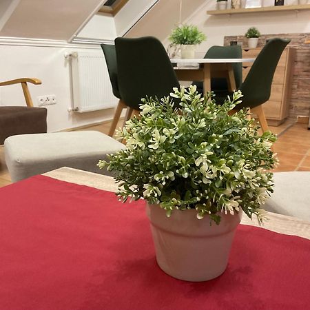 Sport Apartman Hajdúszoboszló Dış mekan fotoğraf
