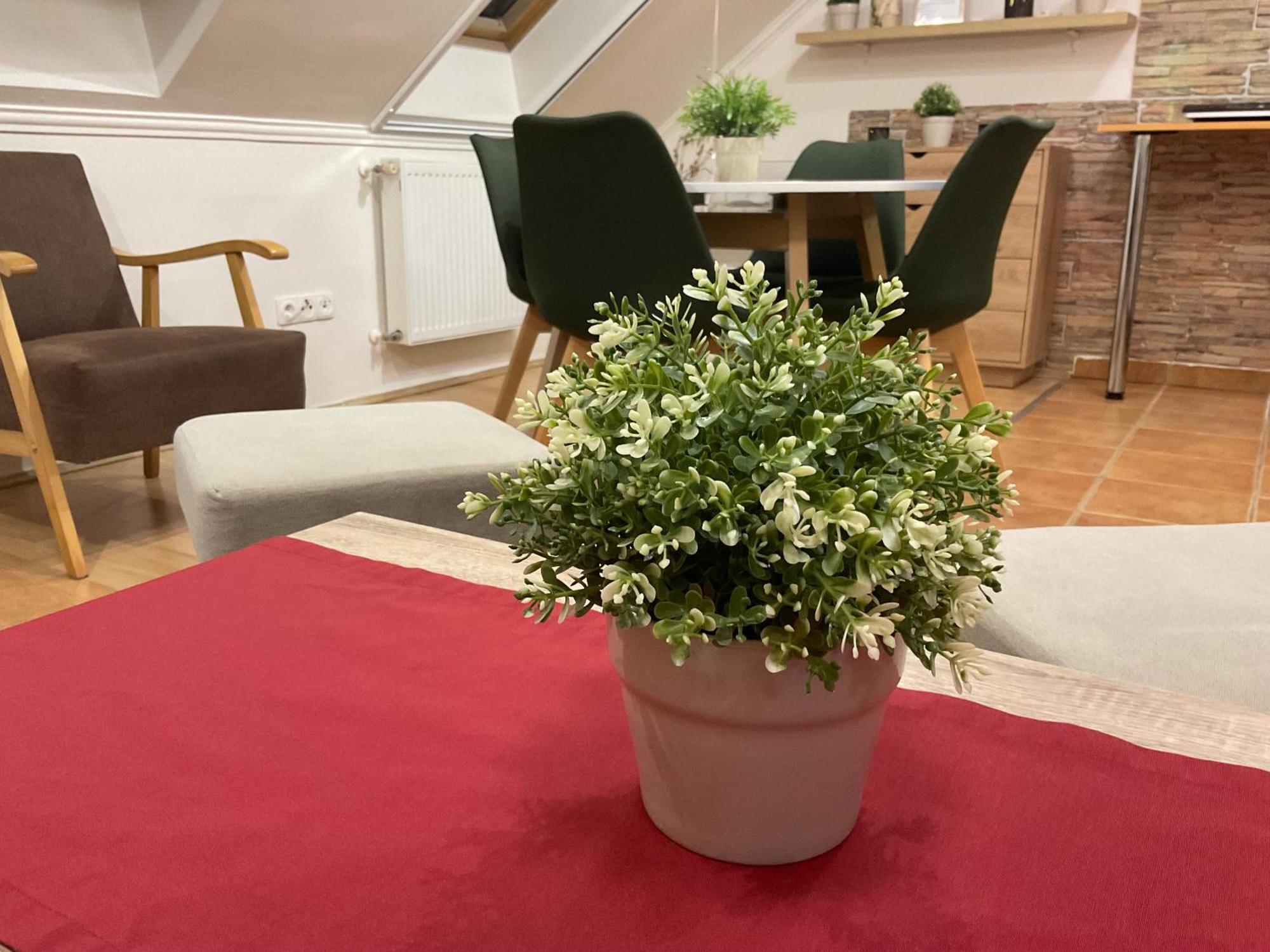 Sport Apartman Hajdúszoboszló Dış mekan fotoğraf